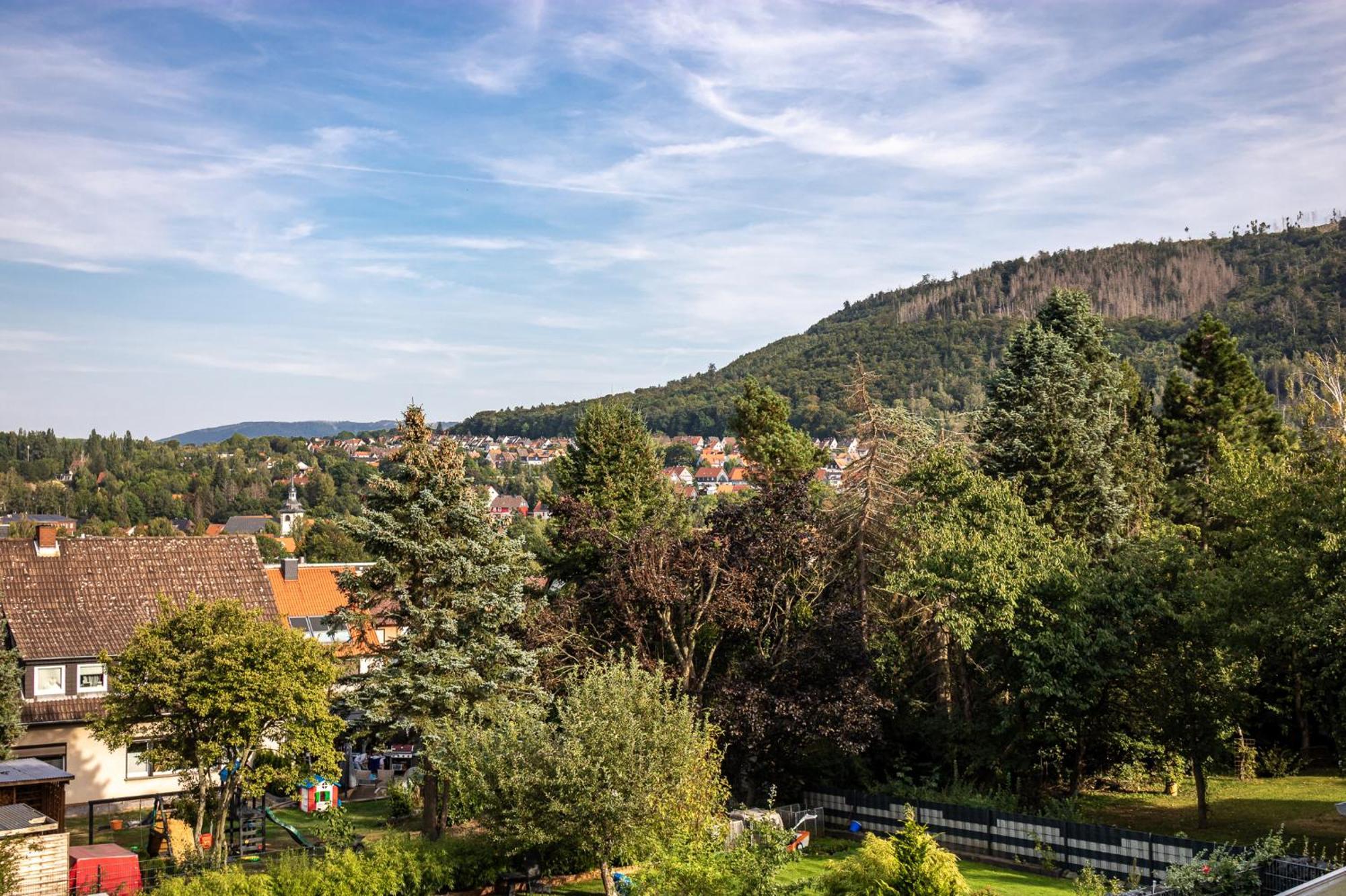 Ferienwohnung Am Bollrich Гослар Экстерьер фото